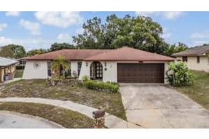 7032 FERNLEAF COURT, PORT RICHEY, FL 34668 - MLS#MFRTB8438877
