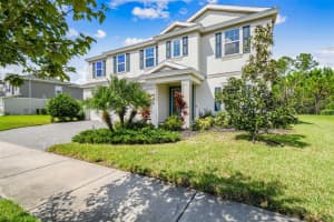 16519 FREHLEY RUN, LAND O LAKES, FL 34638 - MLS#MFRTB8438880