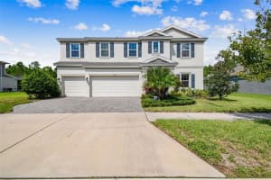 16519 FREHLEY RUN, LAND O LAKES, FL 34638 - MLS#MFRTB8438880