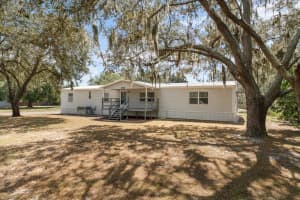 11919 RHODINE ROAD, RIVERVIEW, FL 33579 - MLS#MFRTB8438893
