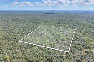 PINE ISLAND DR, WEEKI WACHEE, FL 34613 - MLS#MFRTB8438921