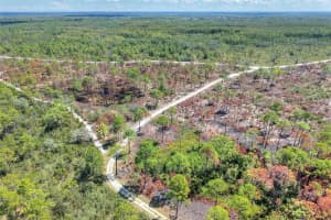 PINE ISLAND DR, WEEKI WACHEE, FL 34613 - MLS#MFRTB8438921