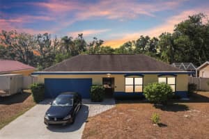 14804 Carnation Dr, TAMPA