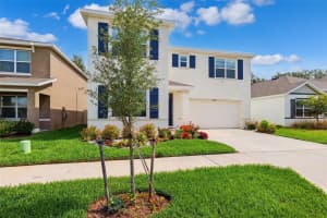 33657 FIELD MAPLE LOOP, WESLEY CHAPEL, FL 33545 - MLS#MFRTB8438934