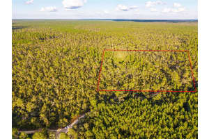 NICATOON RETREAT, UMATILLA, FL 32784 - MLS#MFRTB8438946