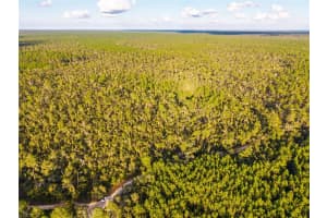 NICATOON RETREAT, UMATILLA, FL 32784 - MLS#MFRTB8438946