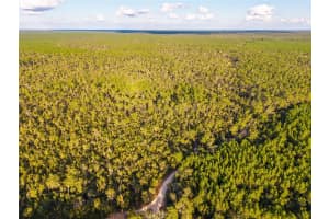 NICATOON RETREAT, UMATILLA, FL 32784 - MLS#MFRTB8438946