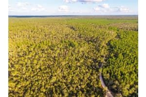 NICATOON RETREAT, UMATILLA, FL 32784 - MLS#MFRTB8438946