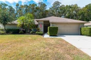 3238 Glenridge Dr, PALM HARBOR 3238 Glenridge Dr, PALM HARBOR