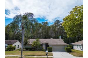 3238 GLENRIDGE DRIVE, PALM HARBOR, FL 34685 - MLS#MFRTB8438948