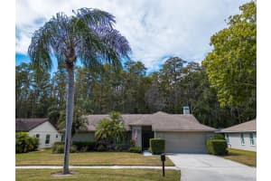 3238 GLENRIDGE DRIVE, PALM HARBOR, FL 34685 - MLS#MFRTB8438948