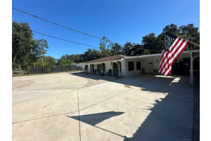 16903 HANNA ROAD, LUTZ, FL 33549 - MLS#MFRTB8438949