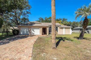 4421 PLUMOSA STREET, SPRING HILL, FL 34607 - MLS#MFRTB8438951