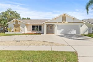 2538 Indigo Dr, DUNEDIN