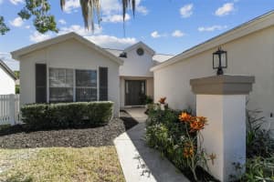 4124 RANDOLPH STREET, NEW PORT RICHEY, FL 34653 - MLS#MFRTB8438976