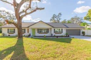 713 GRAND CIRCLE, TEMPLE TERRACE, FL 33617 - MLS#MFRTB8438992