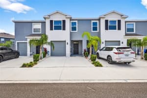 193 Mangrove Shade Cir, APOLLO BEACH