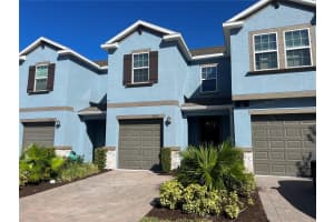 18730 NOBLE CASPIAN DRIVE, LUTZ, FL 33558 - MLS#MFRTB8439138