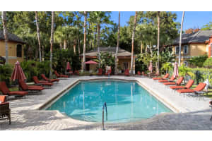 2250 PORTOFINO PLACE #237, PALM HARBOR, FL 34683 - MLS#MFRTB8439139