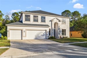 10826 RAIN LILLY PASS, LAND O LAKES, FL 34638 - MLS#MFRTB8439144