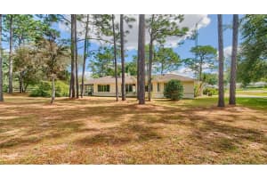 610 151ST TERRACE, WILLISTON, FL 32696 - MLS#MFRTB8439152