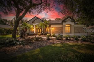 5816 AUDUBON MANOR BOULEVARD, LITHIA, FL 33547 - MLS#MFRTB8439155