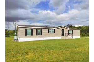 7335 DOVE MEADOW TRAIL, LAKELAND, FL 33810 - MLS#MFRTB8439168