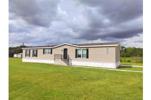 7335 DOVE MEADOW TRAIL, LAKELAND, FL 33810 - MLS#MFRTB8439168