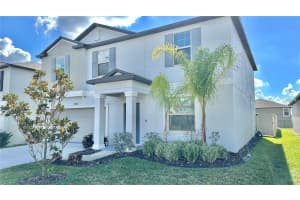 31363 SUN KETTLE LOOP, WESLEY CHAPEL, FL 33545 - MLS#MFRTB8439183