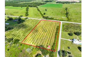 7947 ARTIFACT DRIVE, ZEPHYRHILLS, FL 33541 Sold 11/26/25