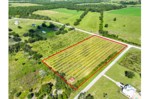 7947 ARTIFACT DRIVE, ZEPHYRHILLS, FL 33541 Sold 11/26/25