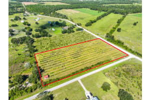 7947 ARTIFACT DRIVE, ZEPHYRHILLS, FL 33541 Sold 11/26/25