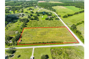 7947 ARTIFACT DRIVE, ZEPHYRHILLS, FL 33541 Sold 11/26/25