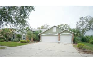 3807 TURKEY OAK DRIVE, VALRICO, FL 33596 - MLS#MFRTB8439200