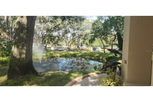 304 LOS PRADOS #304, SAFETY HARBOR, FL 34695 - MLS#MFRTB8439202