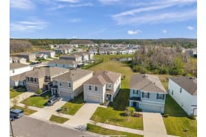 16051 SOFT FERN TRACE, ODESSA, FL 33556 - MLS#MFRTB8439230