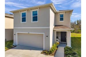 16051 SOFT FERN TRACE, ODESSA, FL 33556 - MLS#MFRTB8439230