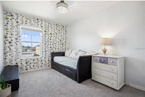 16051 SOFT FERN TRACE, ODESSA, FL 33556 - MLS#MFRTB8439230