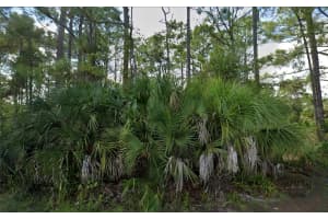 406 TREEMONT AVENUE, PALM BAY, FL 32908 - MLS#MFRTB8439247