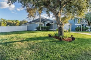 12204 LUFTBURROW LANE, HUDSON, FL 34669 - MLS#MFRTB8439249