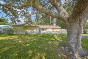 103 WINDY CIRCLE, BRANDON, FL 33511 - MLS#MFRTB8439251