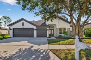 5240 SILVER CHARM TERRACE, WESLEY CHAPEL, FL 33544 - MLS#MFRTB8439256