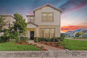 4370 BEXLEY VILLAGE DRIVE, LAND O LAKES, FL 34638 - MLS#MFRTB8439292