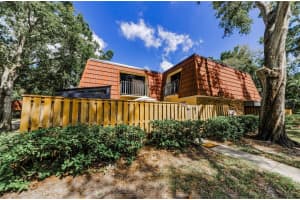 2734 5TH COURT, PALM HARBOR, FL 34684 - MLS#MFRTB8439294