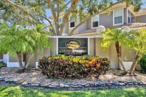 3372 COVERED BRIDGE DRIVE, DUNEDIN, FL 34698 - MLS#MFRTB8439298