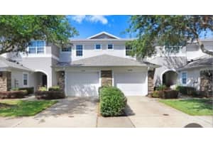 19281 Stone Hedge Dr, TAMPA