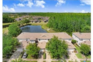 19281 STONE HEDGE DRIVE, TAMPA, FL 33647 - MLS#MFRTB8439299