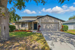 1208 Monte Lake Dr, VALRICO 1208 Monte Lake Dr, VALRICO