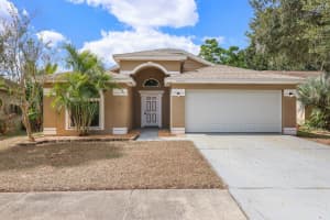 10223 ALLENWOOD DRIVE, RIVERVIEW, FL 33569 - MLS#MFRTB8439344