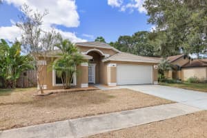 10223 ALLENWOOD DRIVE, RIVERVIEW, FL 33569 - MLS#MFRTB8439344